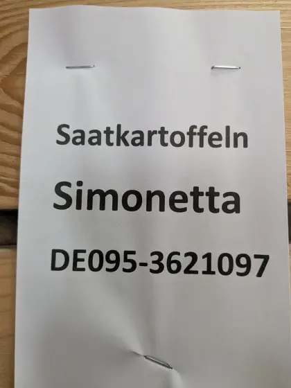 Saatkartoffeln Simonetta