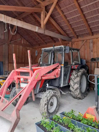 Massey Ferguson Traktor