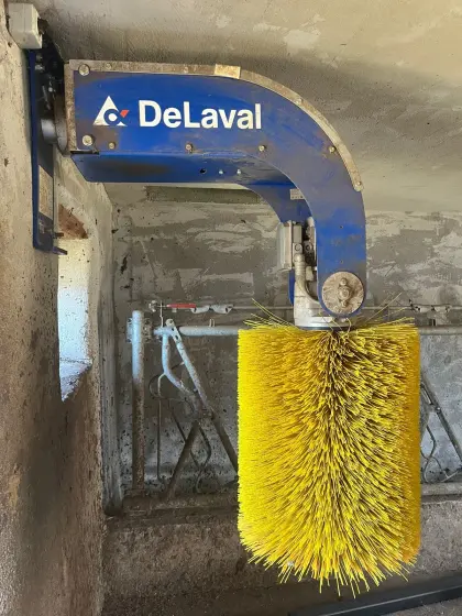 Spazzola DeLaval