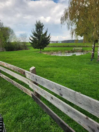 Schafweide zu vergeben