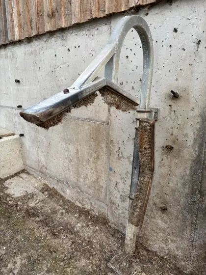 Kratzbürste für Rinder