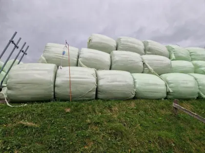 Bio Silageballen 135 cm