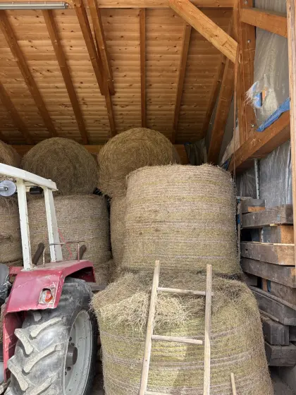 Heuballen 1. und 2. Schnitt 2025