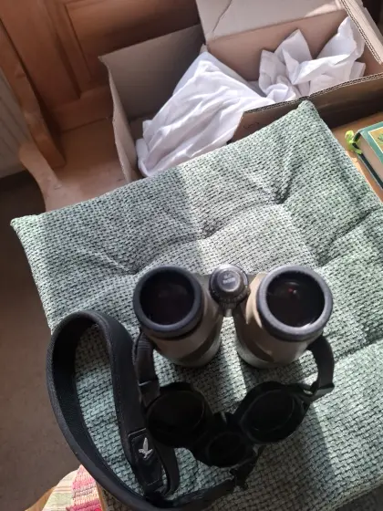 Fernglas Swarovski 8x50 SLC