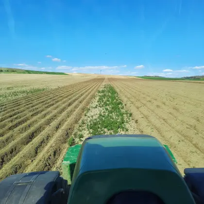 Restmenge Valdivia zu vergeben