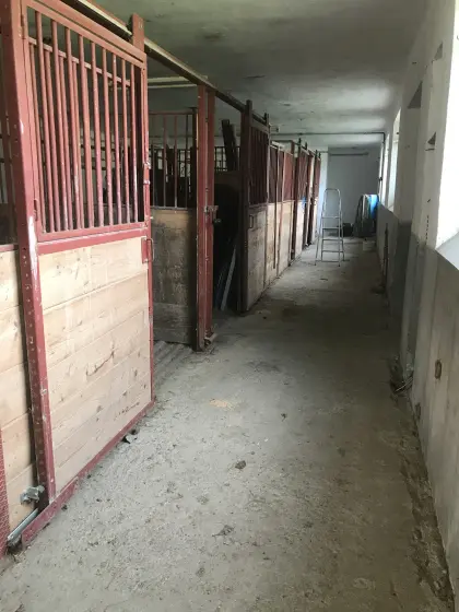 Selbstversorgerstall in Ruhelage