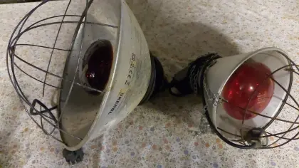 Wärmelampen für Geflügel