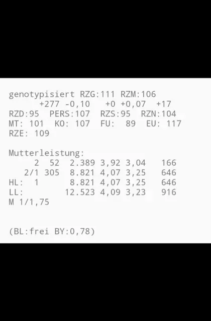 Verkaufe Holstein Zuchtkalb weiblich