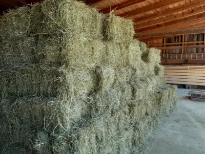Kleine Heuballen zu verkaufen