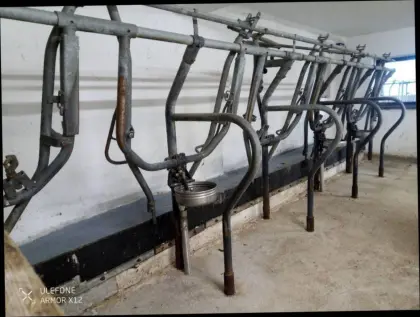 Aufstallung Fa. Braun