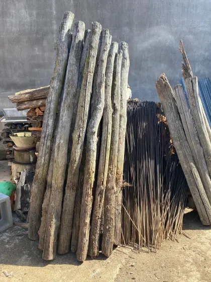 Holzbacksteine aus Akazien 2,60 m lang