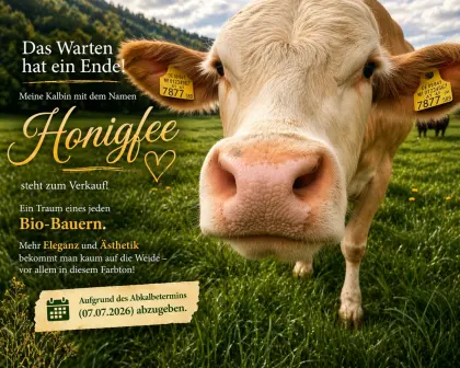 Bio Kalbin "Honigfee"