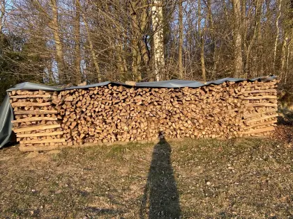 Verkaufe Buchenscheitholz