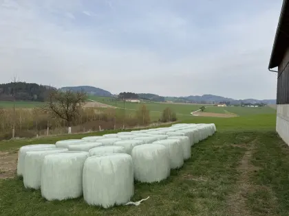 Rundballen 135 cm Silage Gras und Kleegras