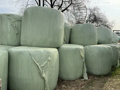 Gras Silageballen 2025