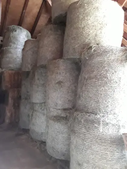 BIO-Heuballen 1. Schnitt