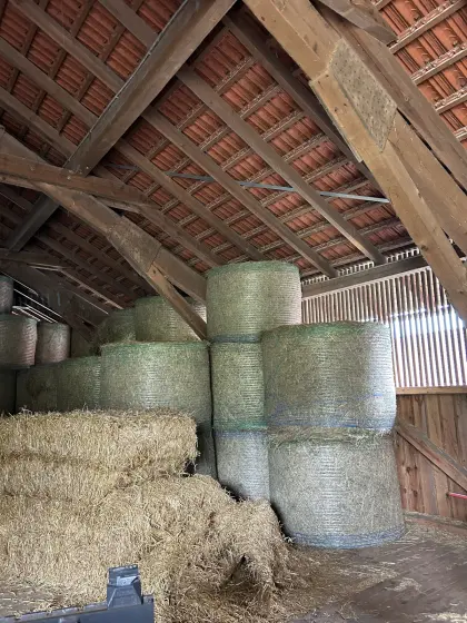 Bio Heuballen 1,50 m