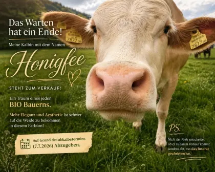 Bio Kalbin "Honigfee"