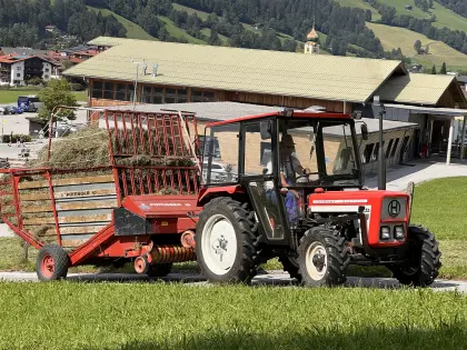 General renoviert - Lindner 420 SA, Bj. 1979