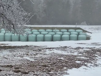 BIO Siloballen abzugeben