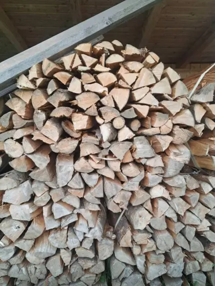 Brennholz Buche