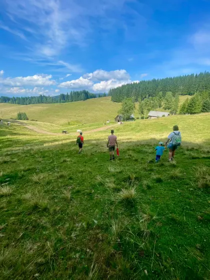 Almweidefläche für Kalbinnen oder Ochsen