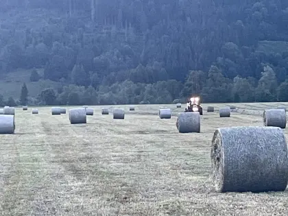 Heuballen 1-2er Schnitt Bio