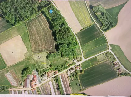 Waldgrundstück bei Pettendorf (Regensburg) - 2.027 m²