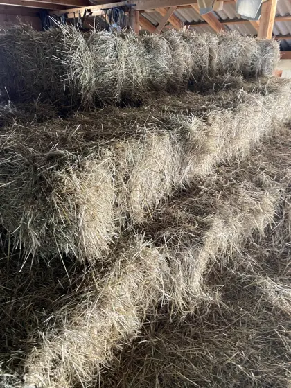 Heuballen klein