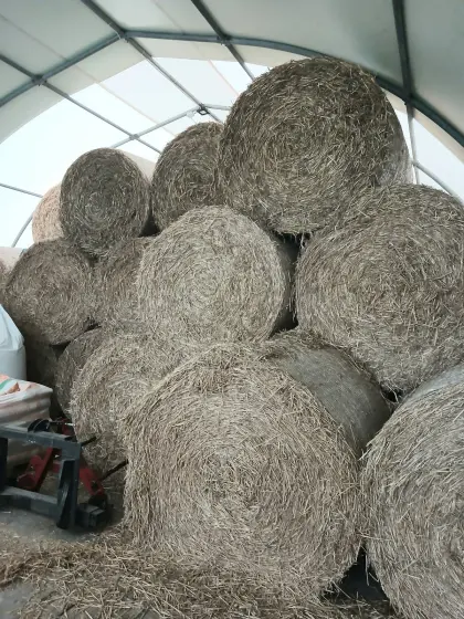 Verkaufe Strohballen