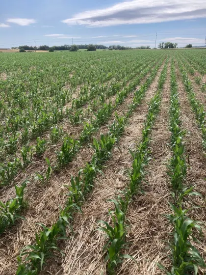 Suche Äcker und Wälder zum Kaufen oder Pachten