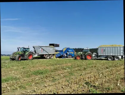 Bio-Maissilageballen