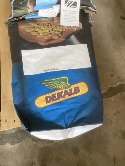 Saatmais DieSaat Astronauto 4 ha