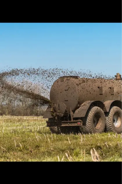 Gülle zum Verkaufen