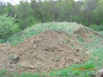 Aushuberde kostenlos abzugeben