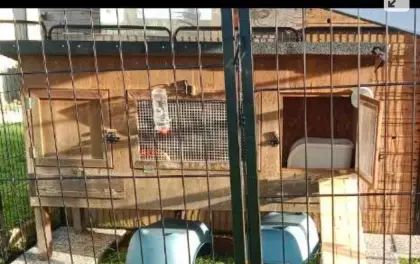 Hasenstall Wind- und Wetterfest, isoliert