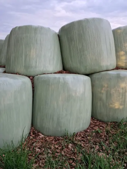 Feldfutter-Silageballen