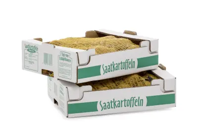 Kartoffelsaatgut, Erdäpfelsaat, Chateau