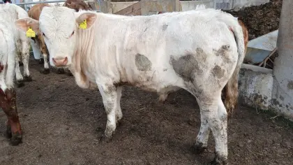 Bio Fresser/Einsteller