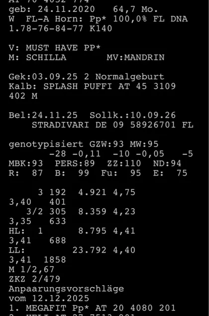 Verkaufe trächtige Fleckvieh-Milchkuh