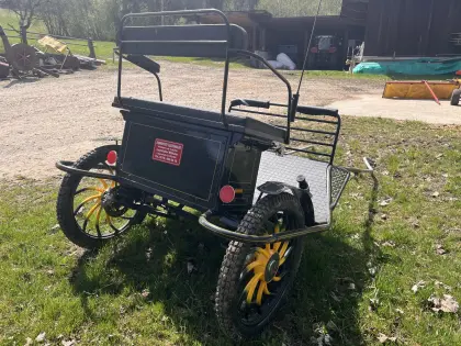 Sulky Gig Haflinger Pferde