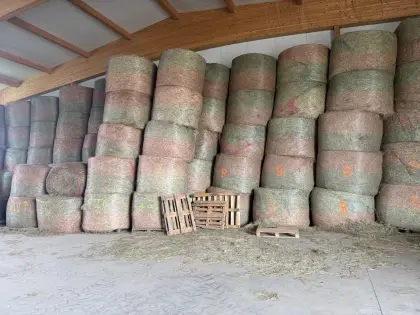 Wiesenheu 1. Schnitt und 2. Schnitt