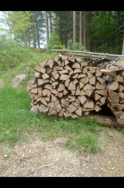 Brennholz