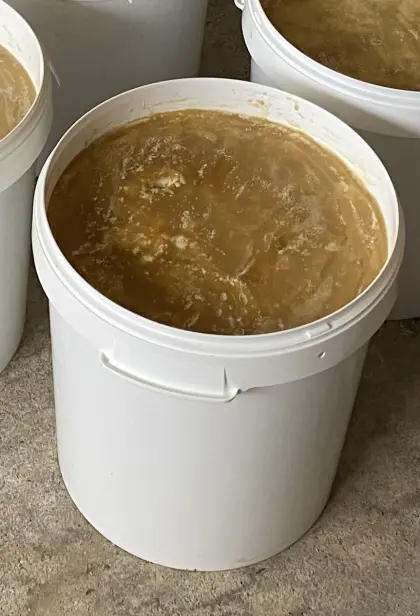 Honig im 40 kg Gebinde