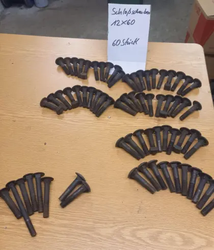 60 Schloss-Schrauben 12x60