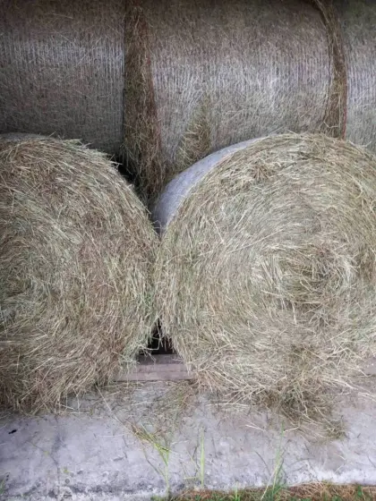 4 Stk. Bio-Heuballen mit Lagermöglichkeit April 2026