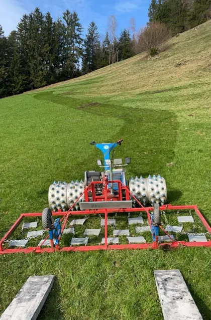 Wiesenegge Brielmaier Motormäher