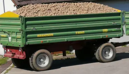 Verkaufe Stärkekartoffel