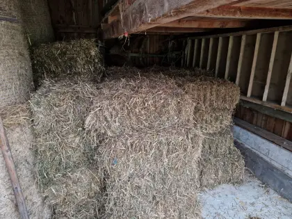 Stroh in Kleinballen
