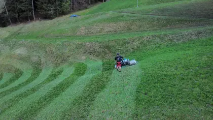 Mäharbeiten Wieseneggen